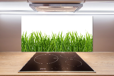 Spatplaat keuken Gras