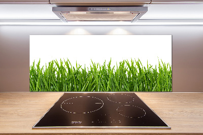 Spatplaat keuken Gras