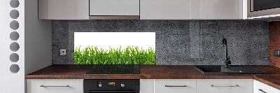 Spatplaat keuken Gras