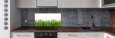Spatplaat keuken Gras