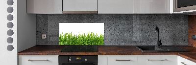 Panel szklany do kuchni Trawa