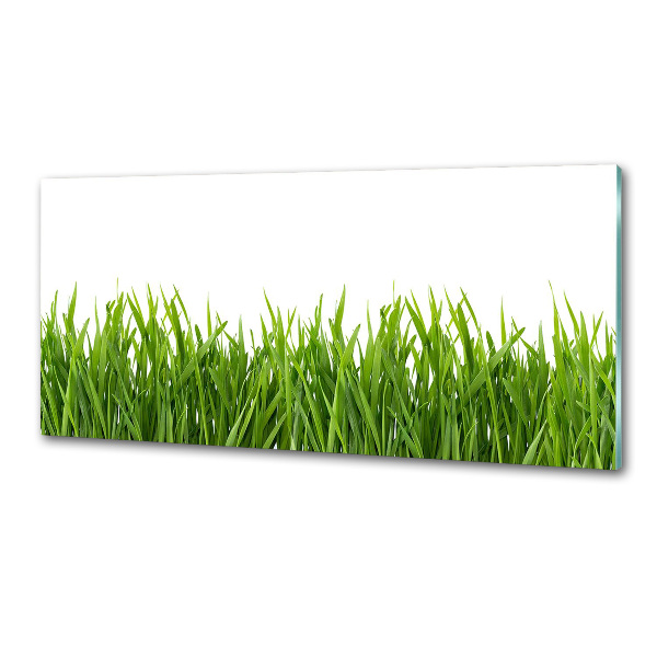 Spatplaat keuken Gras