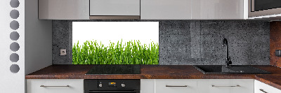 Spatplaat keuken Gras