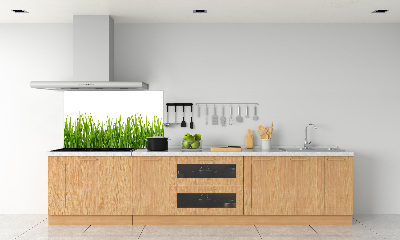 Spatplaat keuken Gras