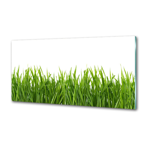 Spatplaat keuken Gras