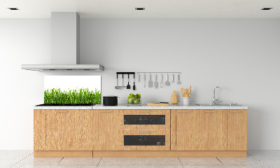 Spatplaat keuken Gras