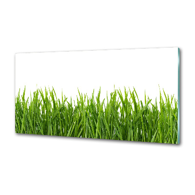 Spatplaat keuken Gras