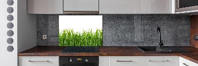 Spatplaat keuken Gras