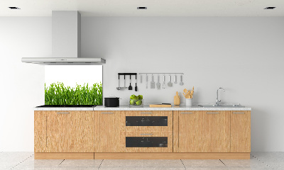 Spatplaat keuken Gras
