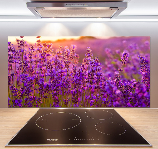 Keuken achterwand Lavendelveld