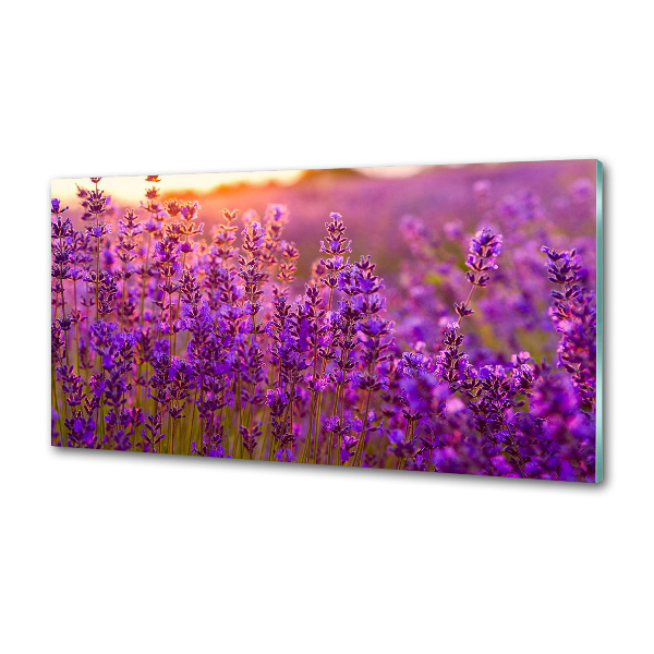 Keuken achterwand Lavendelveld