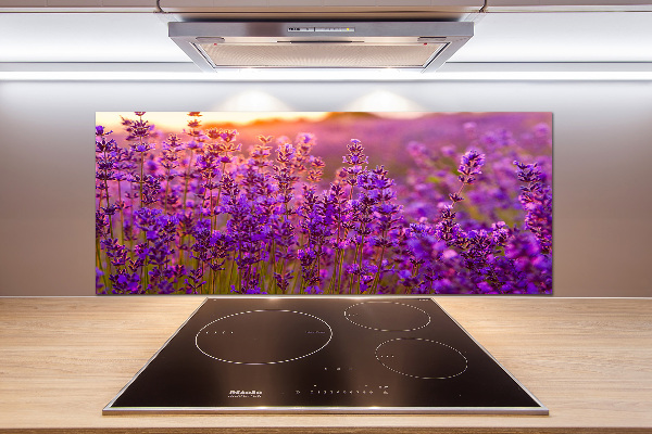 Keuken achterwand Lavendelveld