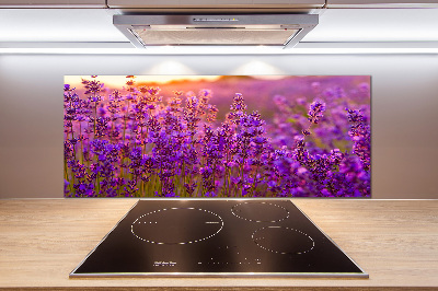 Keuken achterwand Lavendelveld