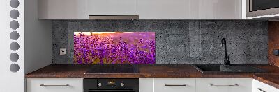 Keuken achterwand Lavendelveld
