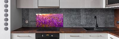 Keuken achterwand Lavendelveld