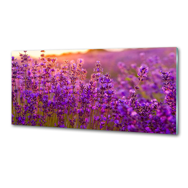 Keuken achterwand Lavendelveld
