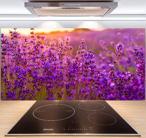 Keuken achterwand Lavendelveld