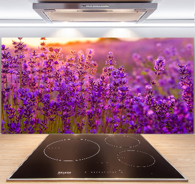 Keuken achterwand Lavendelveld