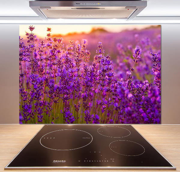Keuken achterwand Lavendelveld