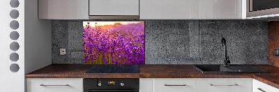 Keuken achterwand Lavendelveld