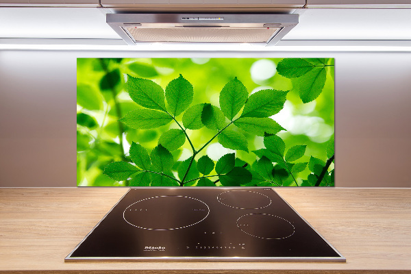 Glazen achterwand keuken Groene bladeren