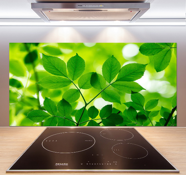 Glazen achterwand keuken Groene bladeren