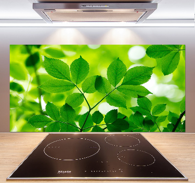 Glazen achterwand keuken Groene bladeren