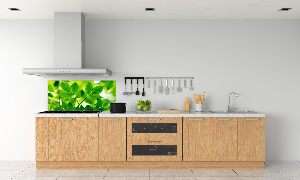 Glazen achterwand keuken Groene bladeren
