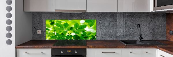 Glazen achterwand keuken Groene bladeren