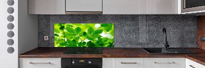 Glazen achterwand keuken Groene bladeren