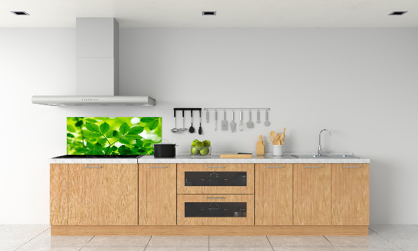Glazen achterwand keuken Groene bladeren