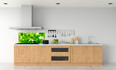 Glazen achterwand keuken Groene bladeren