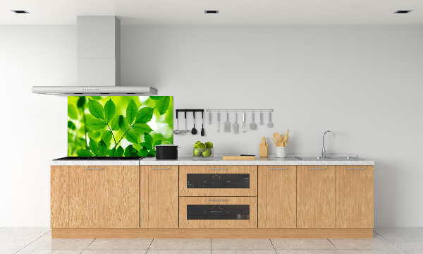 Glazen achterwand keuken Groene bladeren