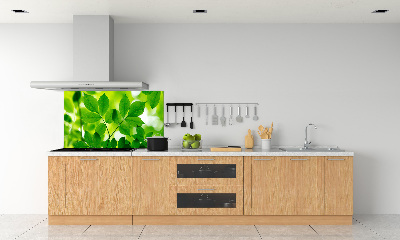 Glazen achterwand keuken Groene bladeren