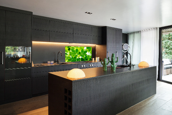 Glazen achterwand keuken Groene bladeren