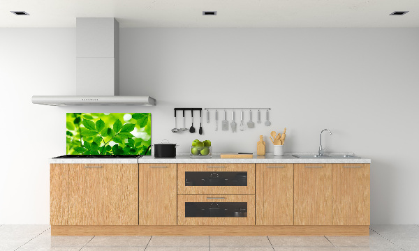 Glazen achterwand keuken Groene bladeren