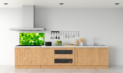 Glazen achterwand keuken Groene bladeren