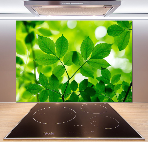 Glazen achterwand keuken Groene bladeren