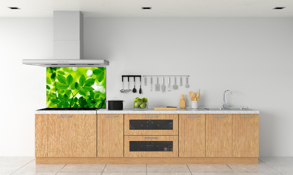 Glazen achterwand keuken Groene bladeren