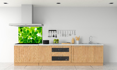 Glazen achterwand keuken Groene bladeren