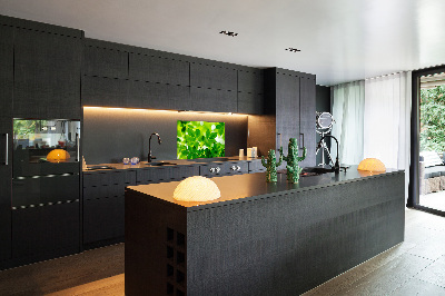Glazen achterwand keuken Groene bladeren