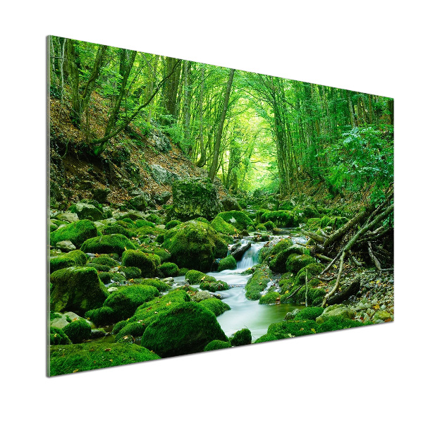 Glazen achterwand keuken Een beekje in het bos