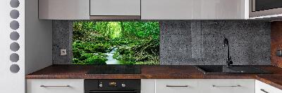 Glazen achterwand keuken Een beekje in het bos