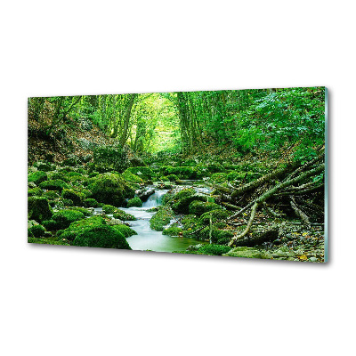 Glazen achterwand keuken Een beekje in het bos