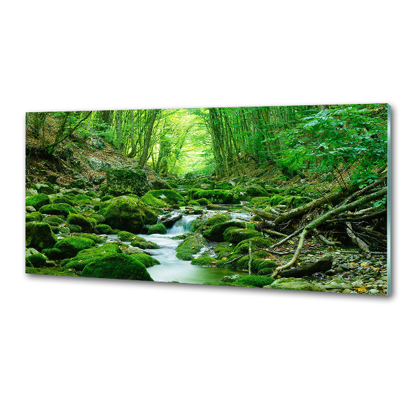 Glazen achterwand keuken Een beekje in het bos