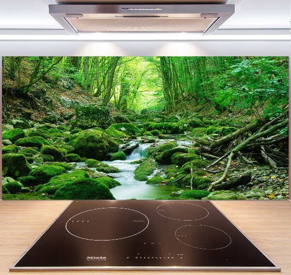 Glazen achterwand keuken Een beekje in het bos