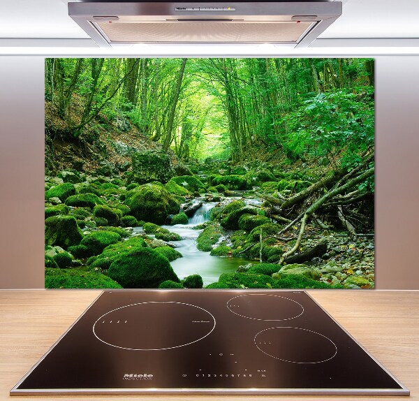 Glazen achterwand keuken Een beekje in het bos