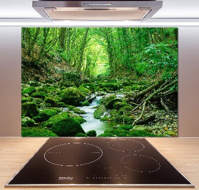 Glazen achterwand keuken Een beekje in het bos