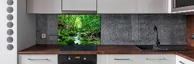 Glazen achterwand keuken Een beekje in het bos