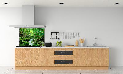 Glazen achterwand keuken Een beekje in het bos